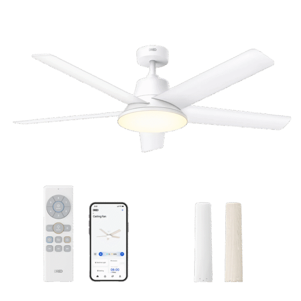 Smart Ceiling Fan CLF521S