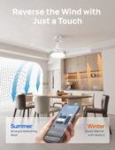 Smart Ceiling Fan CLF325S